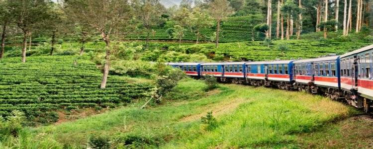 Circuit Sri Lanka, Triunghiul Cultural si Plantatiile de Ceai, 9 zile